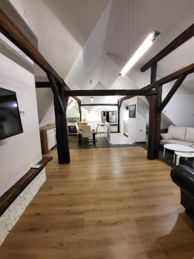Апартаменти Apartman Buzanova Загреб Екстер'єр фото